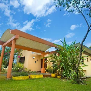 Anacahuita, Limonal Jarabacoa